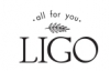 Компания "Ligo"